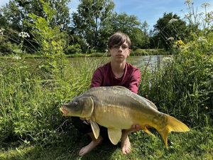 Mirror Carp