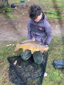 Mirror Carp