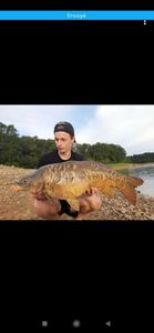 Mirror Carp
