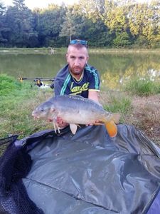 Mirror Carp