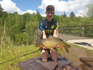 Common Carp