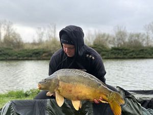 Mirror Carp