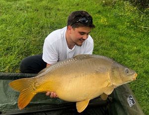 Mirror Carp