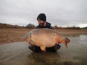 Mirror Carp