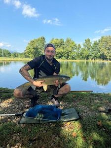Rainbow Trout