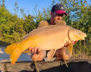 Mirror Carp