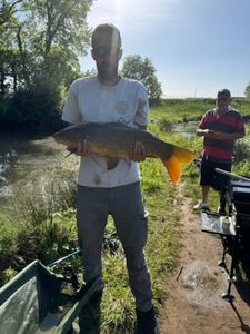 Common Carp