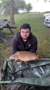 Common Carp