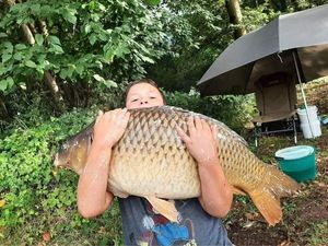 Common Carp