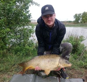 Common Carp