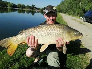 Common Carp