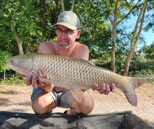 Grass Carp