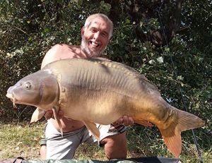 Mirror Carp