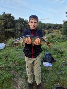 Northern Pike