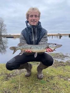 Northern Pike