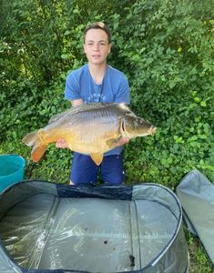 Mirror Carp
