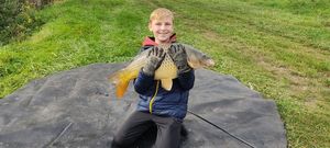 Common Carp