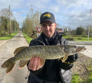 Northern Pike