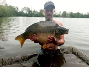 Mirror Carp
