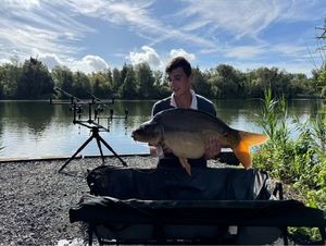 Mirror Carp