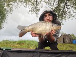 Common Carp