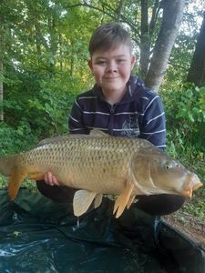Common Carp