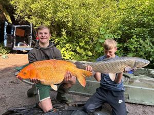 Grass Carp