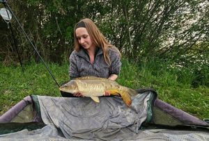 Mirror Carp