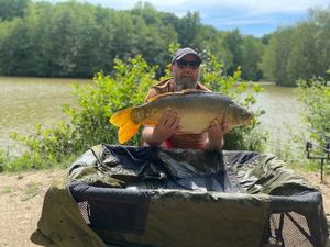 Mirror Carp