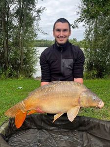 Mirror Carp