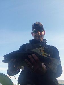 Largemouth Bass