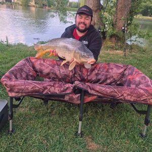 Common Carp