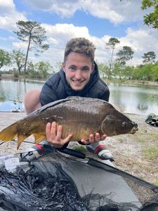 Mirror Carp