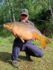 Common Carp