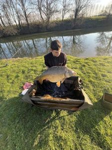 Mirror Carp