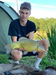 Tench