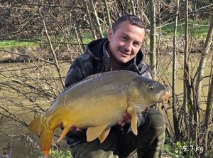Mirror Carp