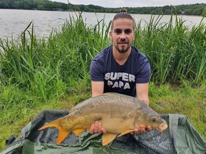 Mirror Carp