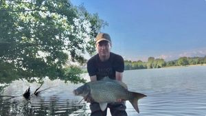 Common Carp