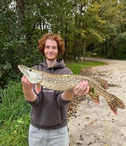 Northern Pike