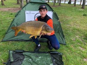 Common Carp