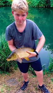 Mirror Carp