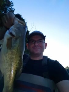 Largemouth Bass