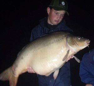 Mirror Carp