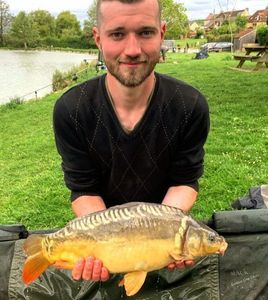 Mirror Carp