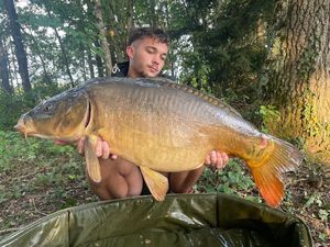 Mirror Carp