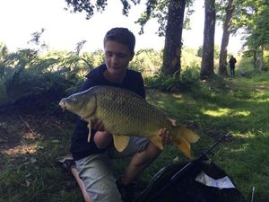Common Carp