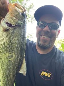 Largemouth Bass