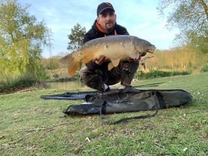 Mirror Carp