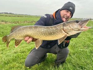 Northern Pike